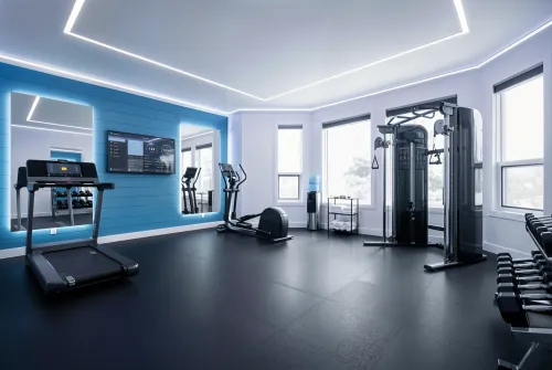 Interior 1